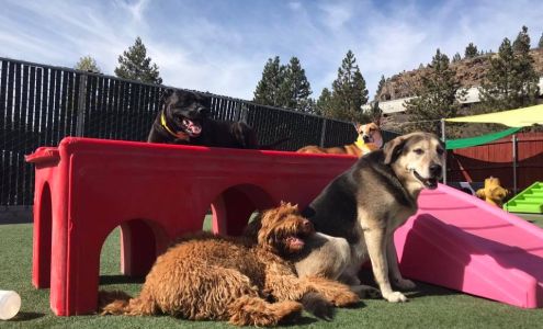Truckee-Tahoe Pet Lodge