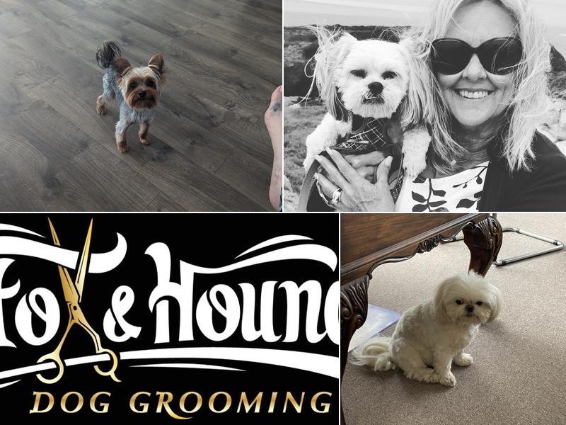 Fox & Hound Dog Grooming