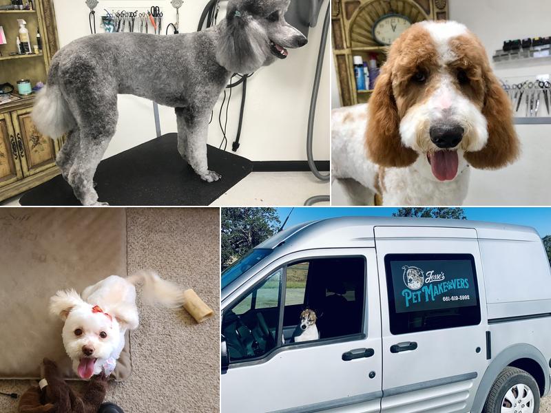 Pet Makeovers - Studio Edition