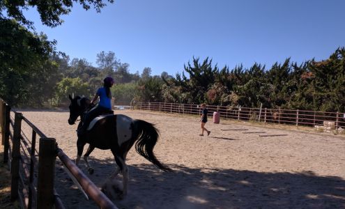 Whirlawind Ranch Newcastle