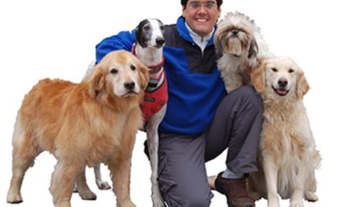 The Dog Guy Pet Containment Company Bridgewater