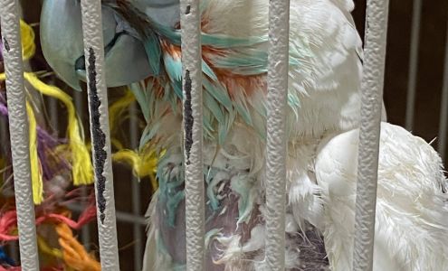 a Refuge for Saving the Wildlife, Incorporated