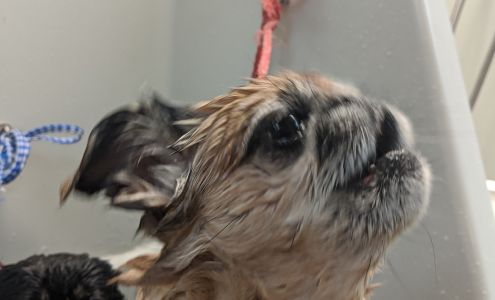 The Dog House Salon, LLC