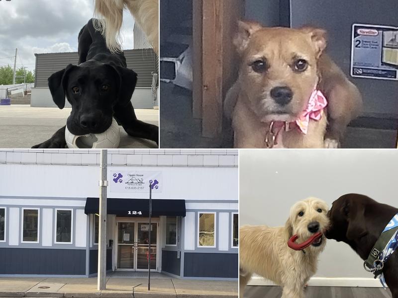 Clippin House Pet Resort & Salon