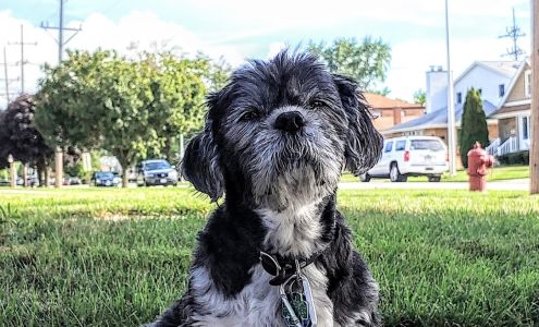 Furry Friends Dog Grooming 11242 S Harlem Ave UNIT C, Worth Illinois 60482