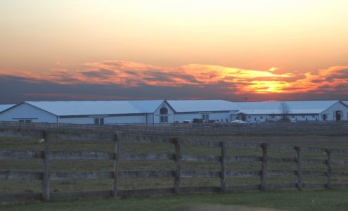 Tower Hill Stables 12N254 Tower Rd, Hampshire Illinois 60140