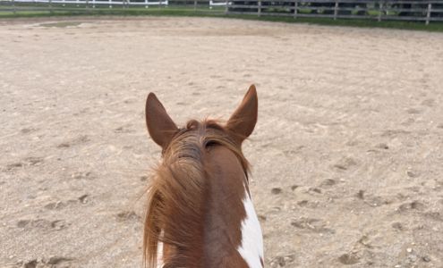 Fox Chase Farms, Inc. Maple Park