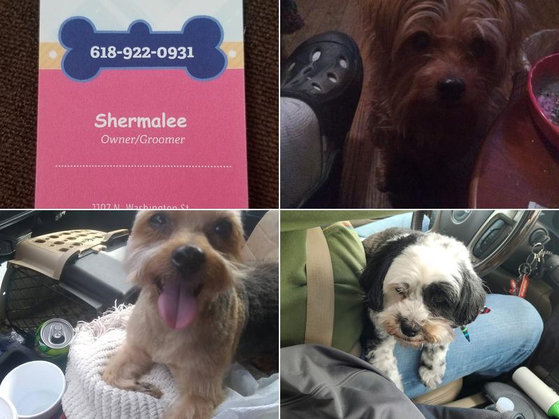 Shermalee's Klassy K-9 Grooming Salon