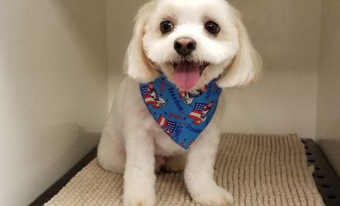 MuddyPaws Pet Spa 1255 Trend Dr #1254, Morris Illinois 60450