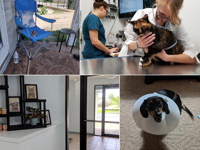 Access Veterinary Care
