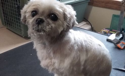 J & J Pet Grooming 7912 US-35 N, Winamac Indiana 46996