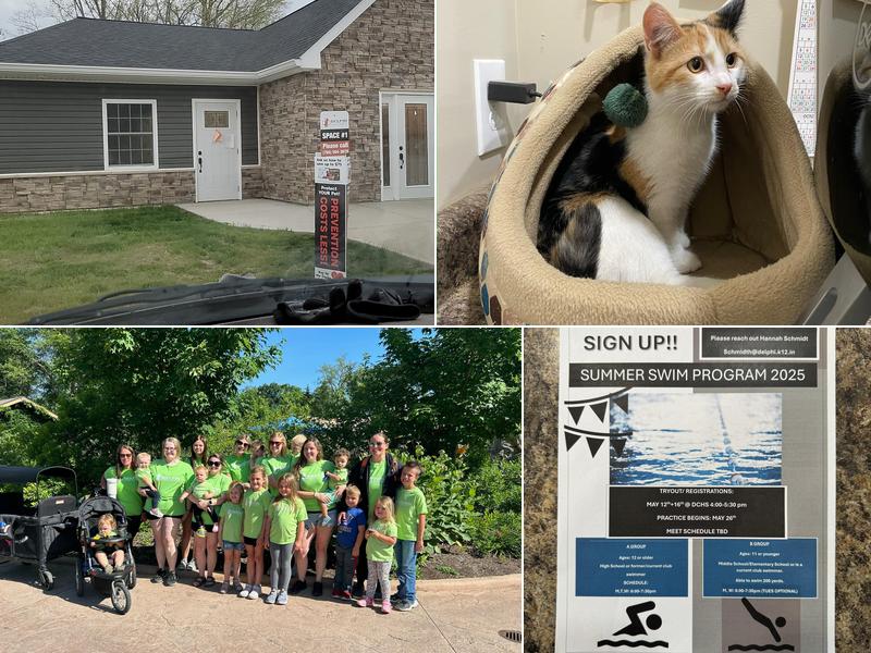 Delphi Animal Hospital