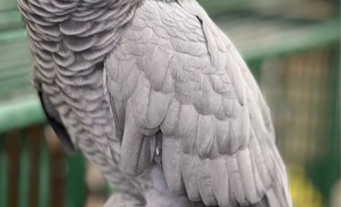 Video & Audio Repair Center