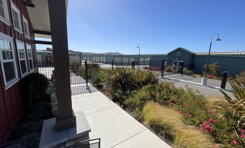 Buckley Springs Storage