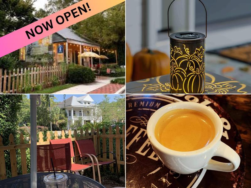 The Book and The Bean