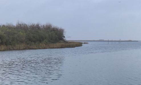 Campo's Marina Saint Bernard