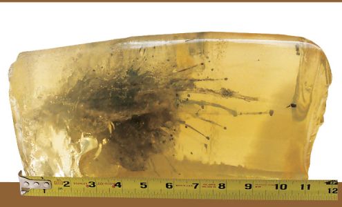 Custom Cartridge, Inc. Columbus