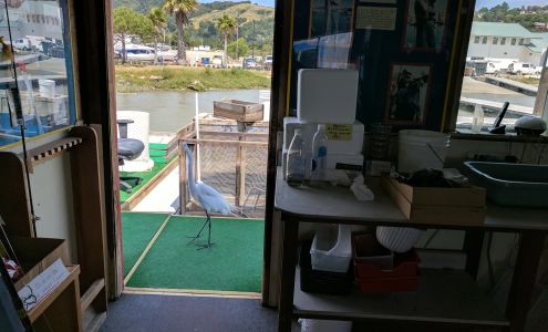 Loch Lomond Live Bait House