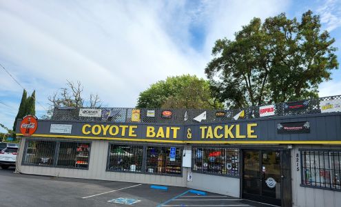 Coyote Discount Bait & Tackle Coyote