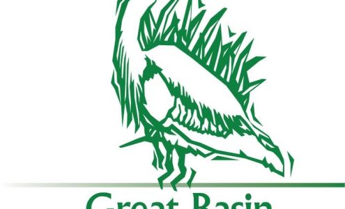 Great Basin Internet Services