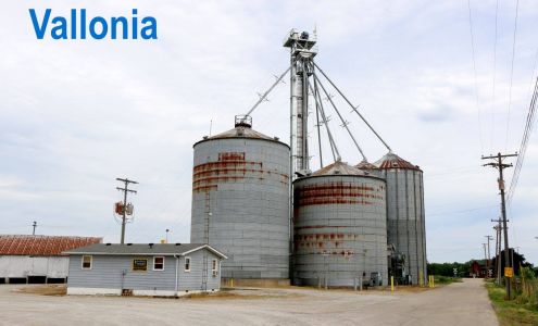 Blueriver Networking Services Inc.