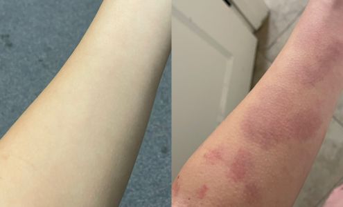 Mesa Family Physicians