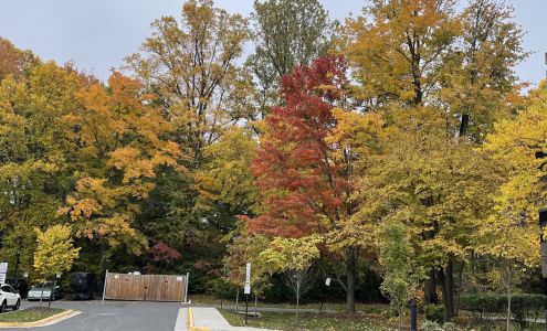 Fairfax Tricare Health Center (Clinic)