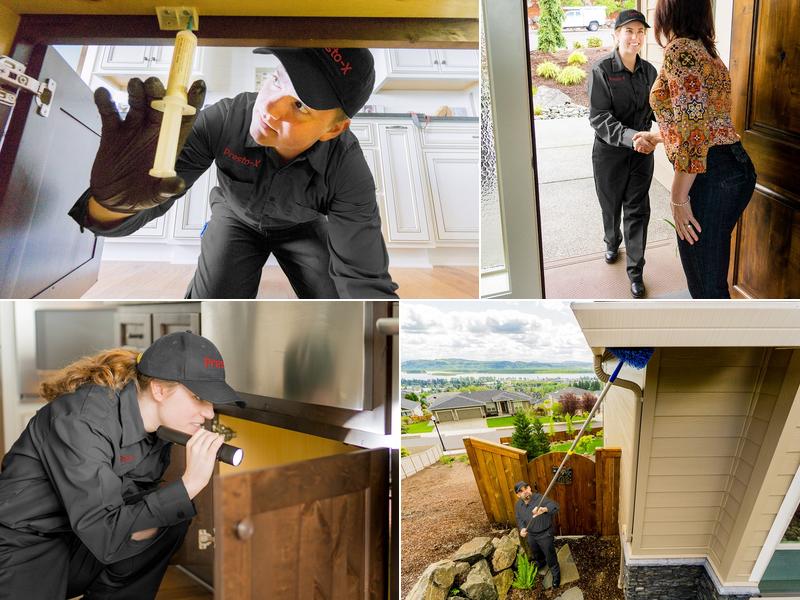 Presto-X Pest Control