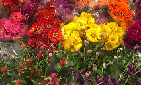 McCallum Sauber Wholesale Florist