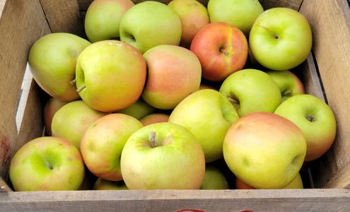 Blades Orchard Federalsburg