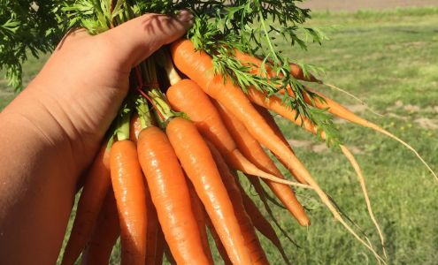 PrairiErth Farm Atlanta