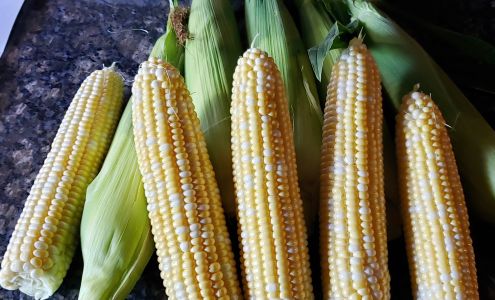 Axdahl's Garden Farm & Greenhouse