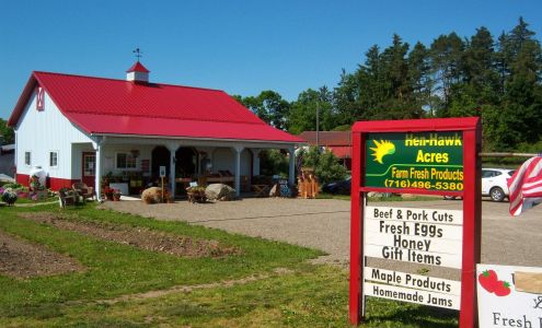 Hen-Hawk Acres Chaffee