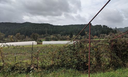 Winter Green Farm Noti