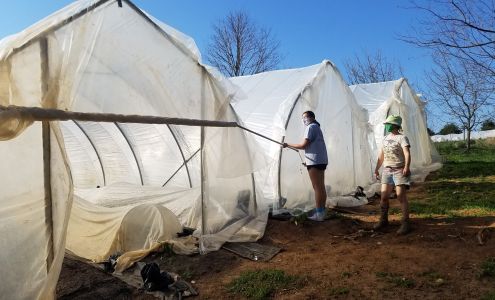 Radical Roots Community Farm Keezletown