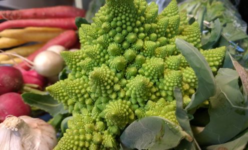 Driftless Organics Soldiers Grove