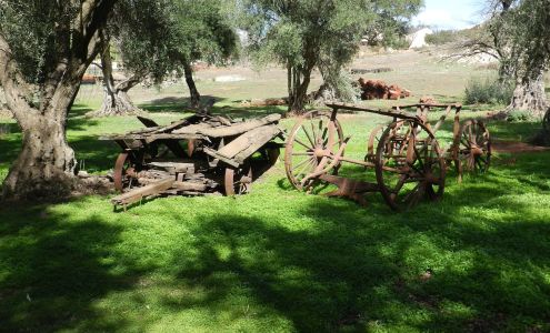 Healing From The Ground Up CSA