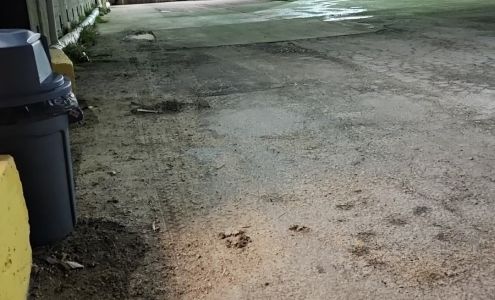 Misionero Vegetables Gonzales