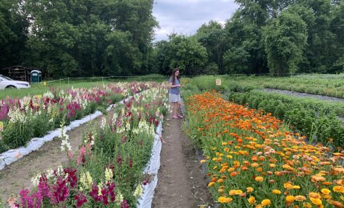 Intervale Community Farm