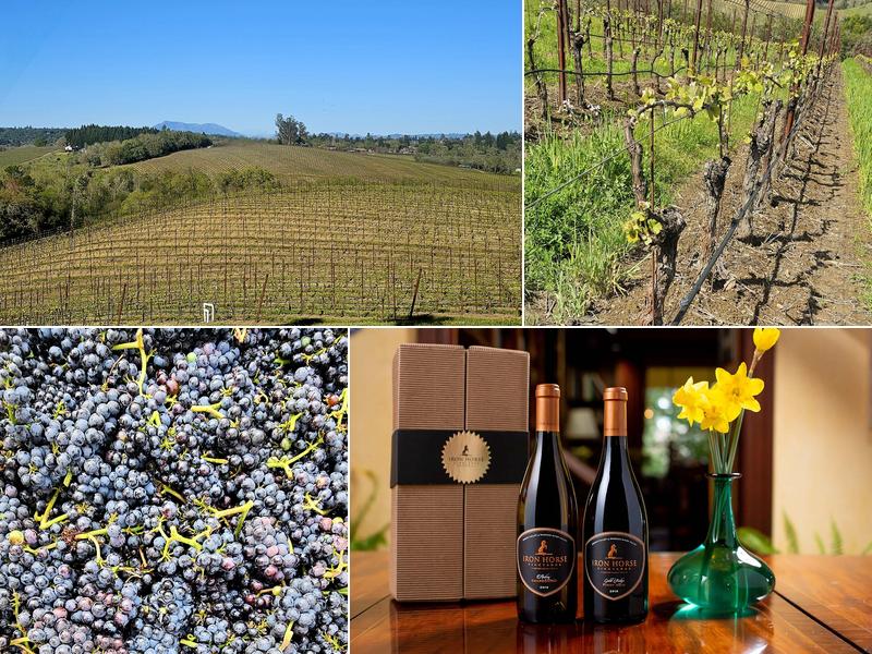 Iron Horse Vineyards 9786 Ross Station Rd, Sebastopol