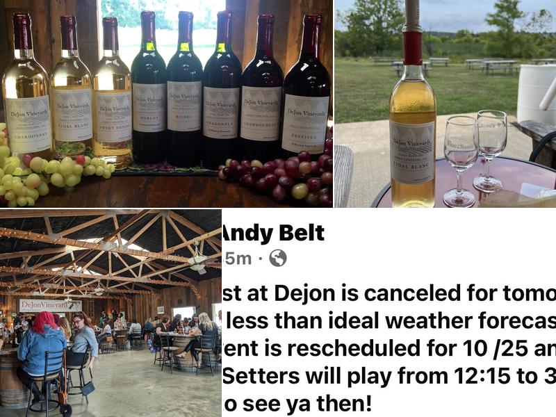 DeJon Vineyard 5300 Hydes Rd, Hydes