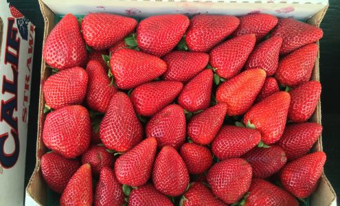 Thacker Berry Farms - Strawberry Stand on PCH
