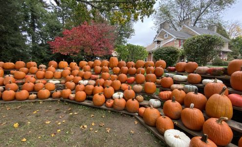 Glen Willow Orchards