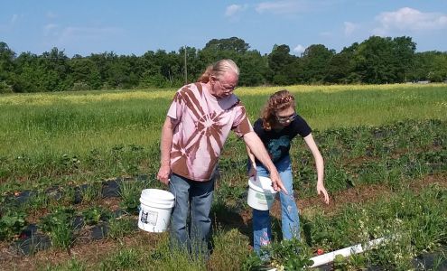 Indigo Farms Produce