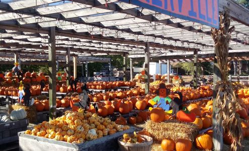 Reilly Rd Farmers Market