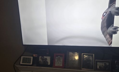 Palmetto TV & Vacuum Services