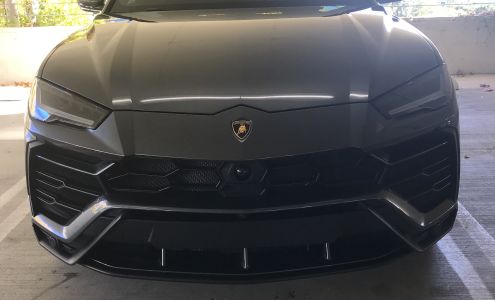 Polish Pros Auto Detailing