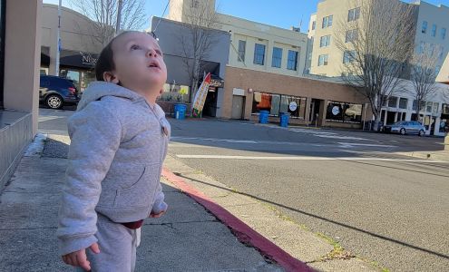 Clone Digital Print & Copy