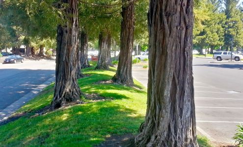 AD-Vantage Marketing, Inc.