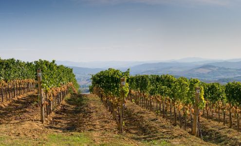 National Print + Promo